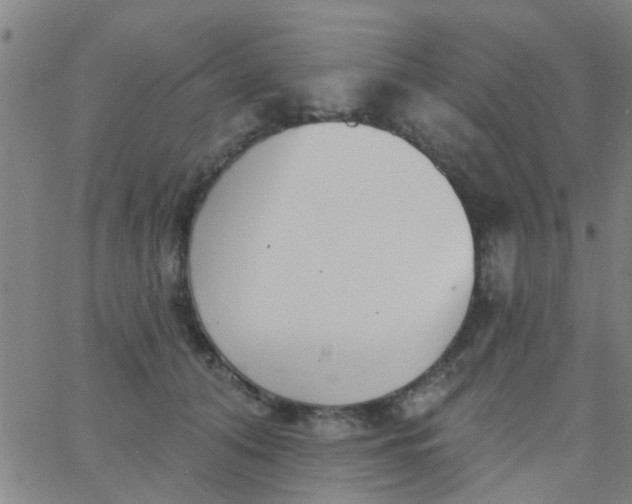 X0000062840608200601272018