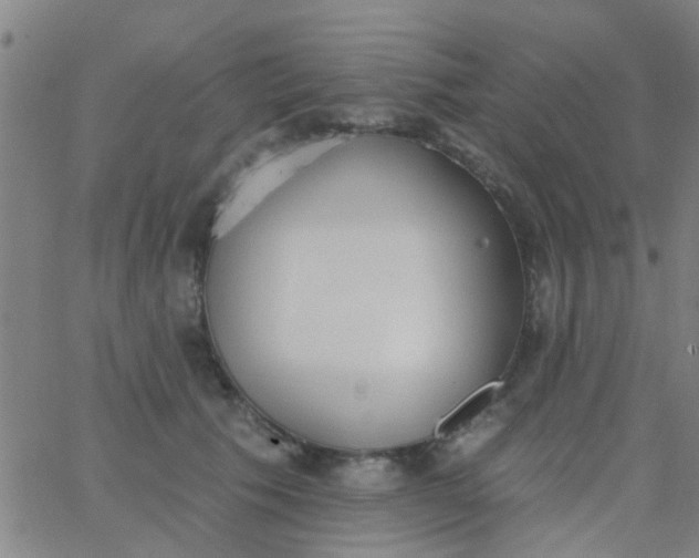 X0000062840609200601272018