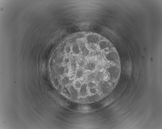 X0000062840610200601272018