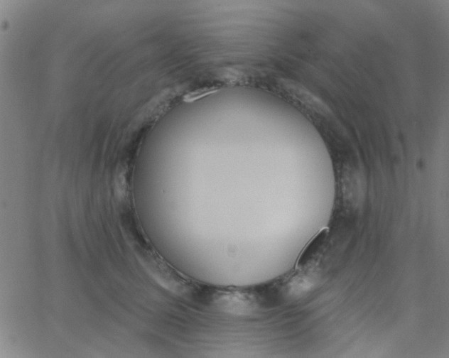 X0000062840611200601272018