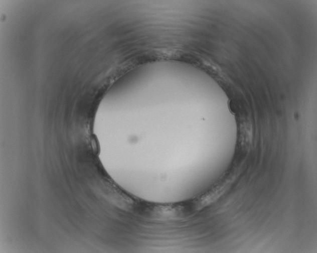 X0000062840613200601272018