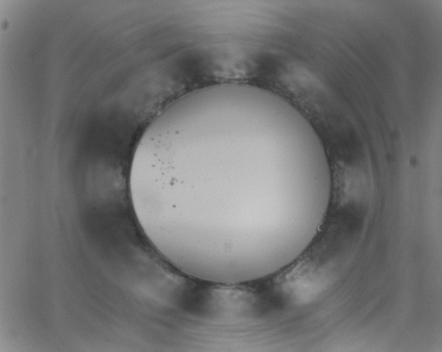 X0000062840614200601272018