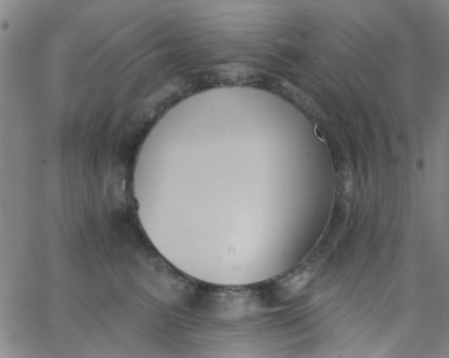 X0000062840615200601272018