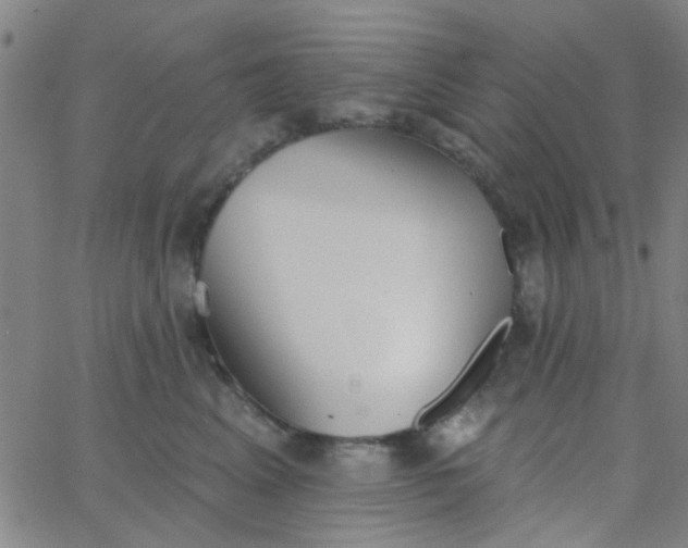 X0000062840617200601272018