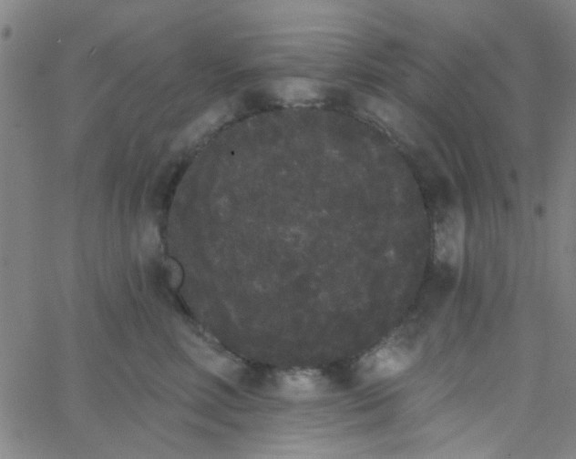 X0000062840618200601272018