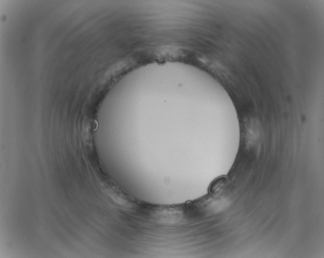 X0000062840619200601272018