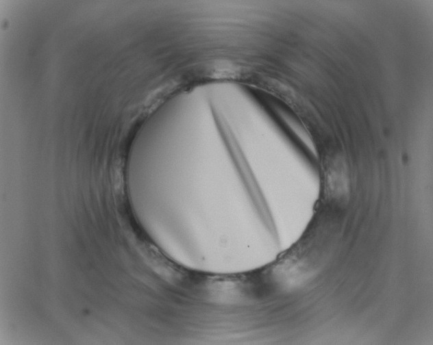 X0000062840620200601272018