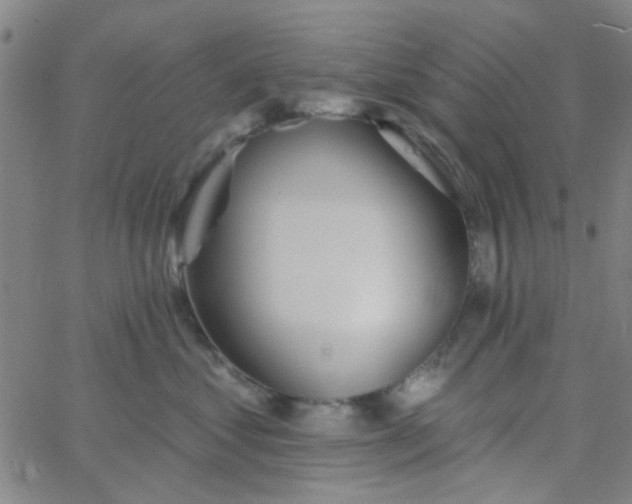 X0000062840621200601272018