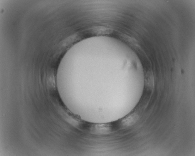 X0000062840622200601272018