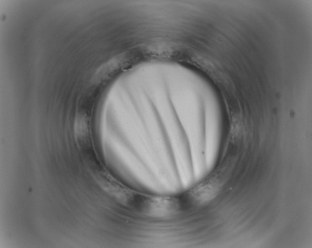 X0000062840623200601272018