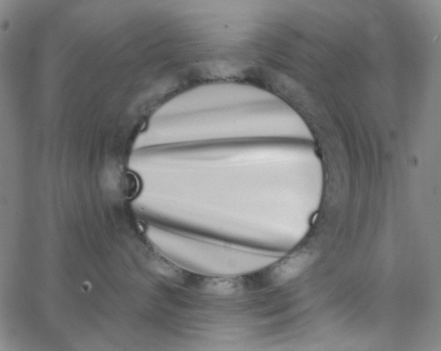 X0000062840624200601272018