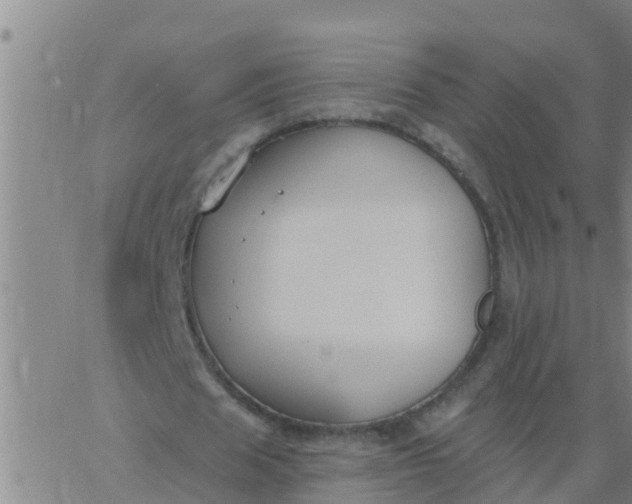 X0000062840625200601272017