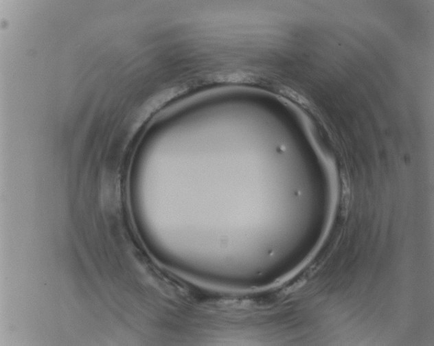 X0000062840626200601272017