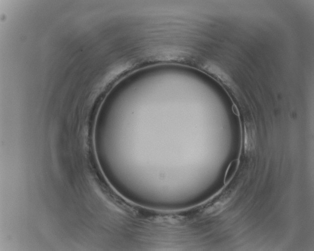 X0000062840627200601272017