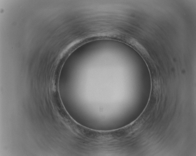 X0000062840628200601272017