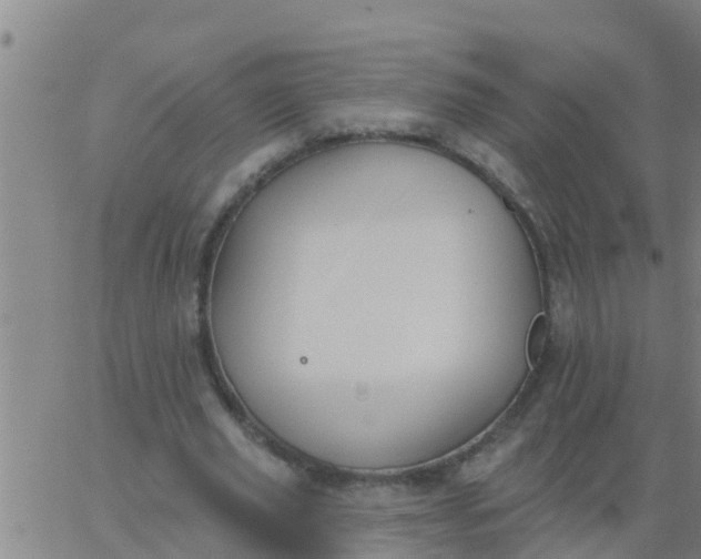 X0000062840629200601272017