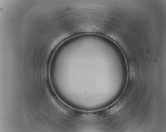 X0000062840630200601272017