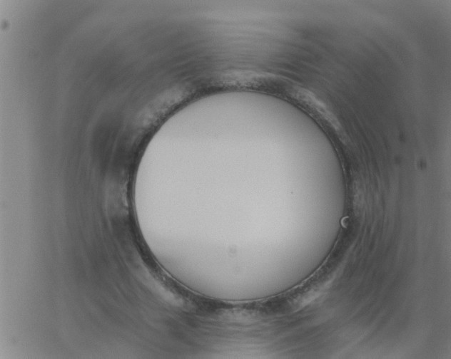 X0000062840633200601272017