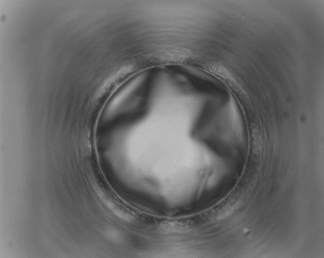 X0000062840634200601272017