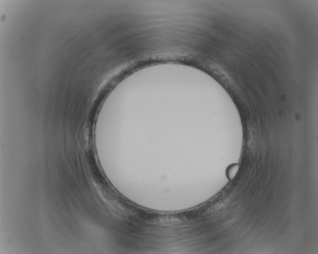 X0000062840636200601272017