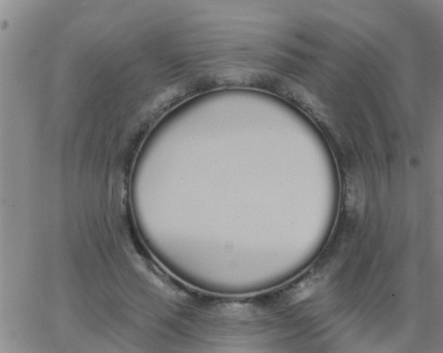 X0000062840637200601272017