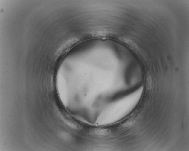 X0000062840638200601272017