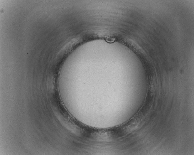 X0000062840639200601272017