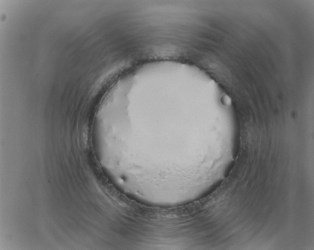 X0000062840640200601272017