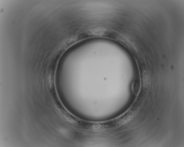 X0000062840641200601272017