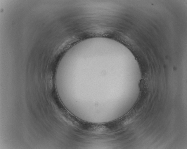 X0000062840642200601272017