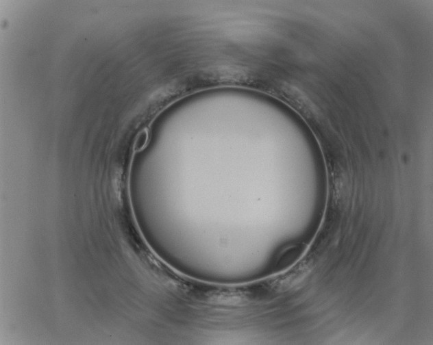 X0000062840643200601272017