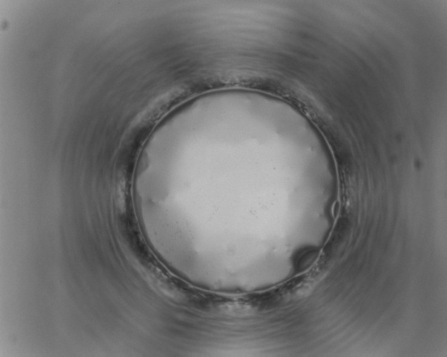 X0000062840644200601272017