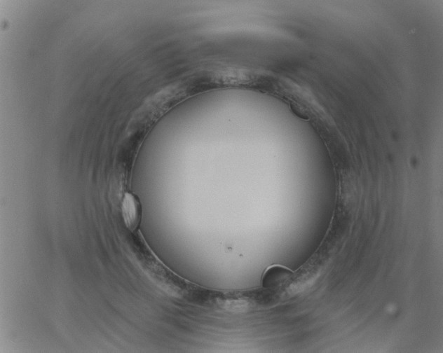 X0000062840645200601272017