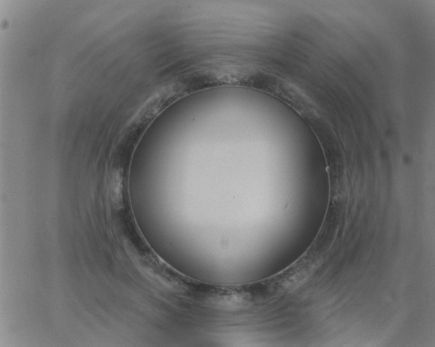 X0000062840646200601272017