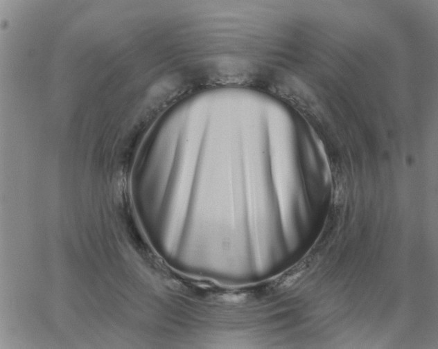 X0000062840647200601272017