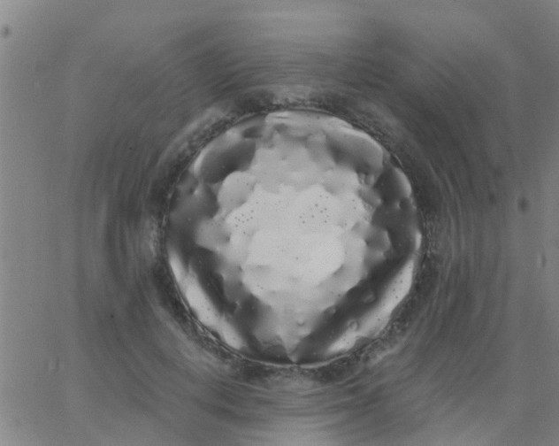 X0000062840648200601272017