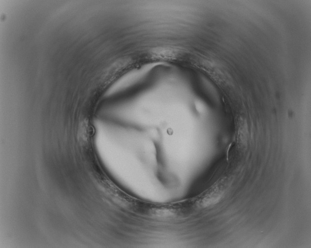 X0000062840649200601272017