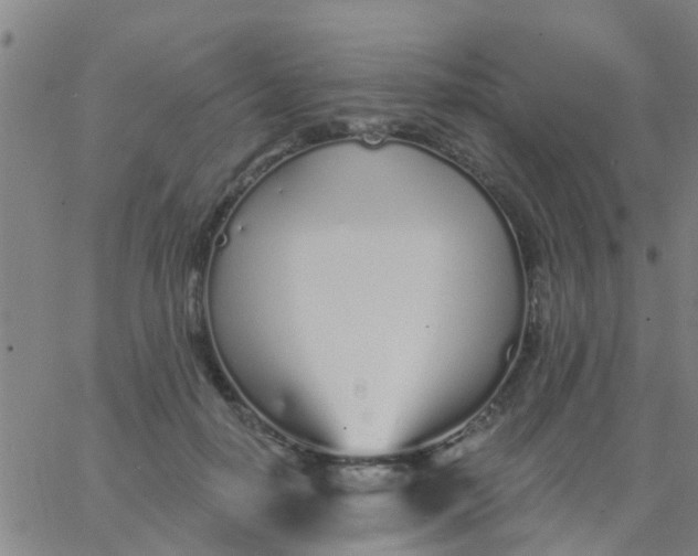 X0000062840650200601272017