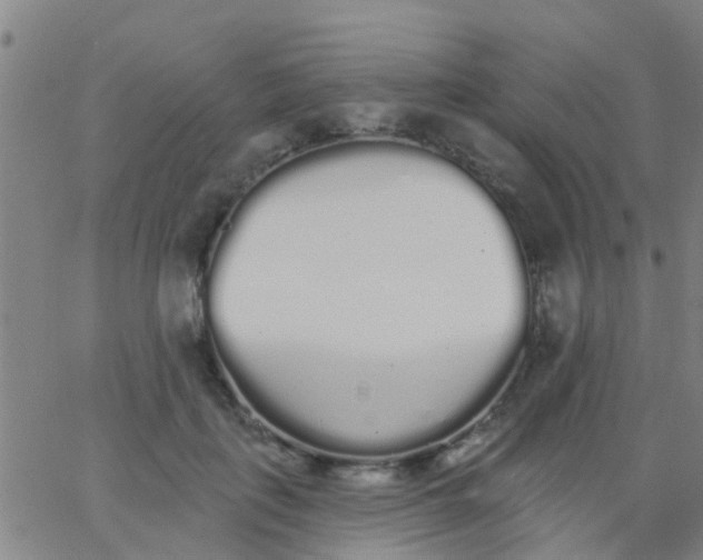 X0000062840651200601272017