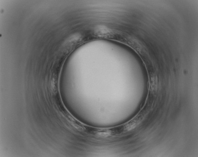 X0000062840653200601272017