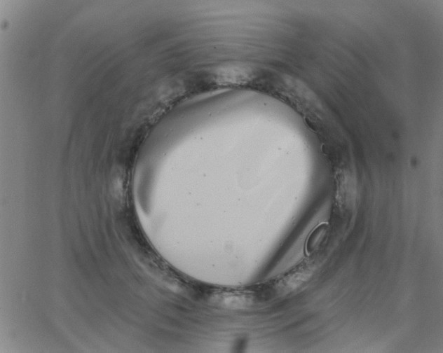 X0000062840655200601272017