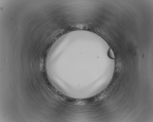 X0000062840656200601272017