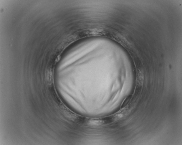 X0000062840657200601272017