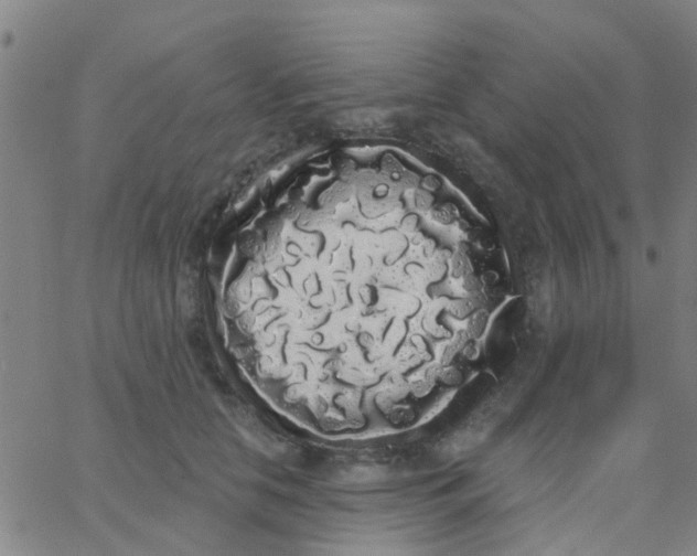 X0000062840658200601272017