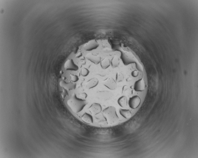 X0000062840659200601272017