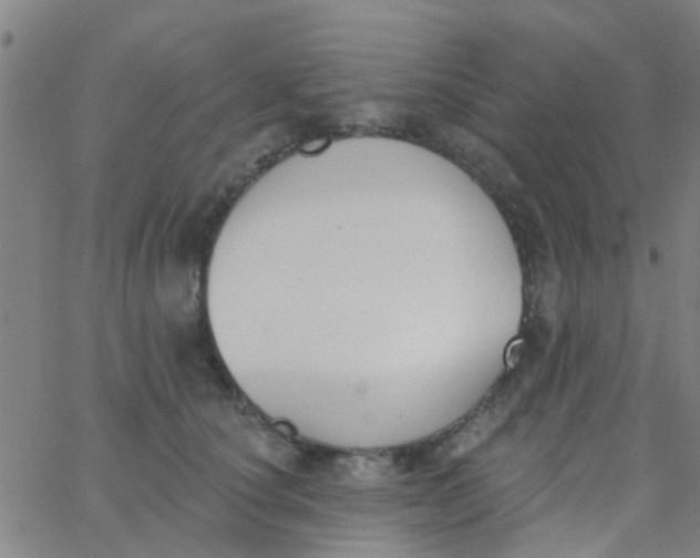 X0000062840660200601272017