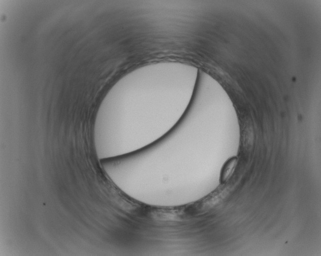 X0000062840661200601272017