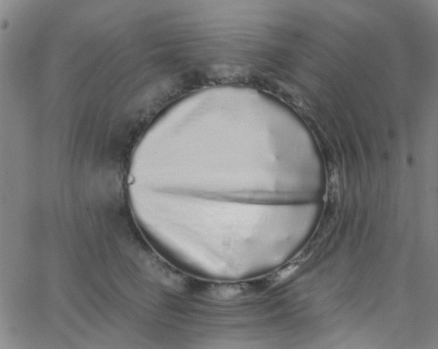 X0000062840662200601272017