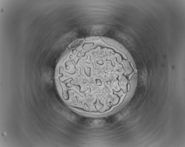 X0000062840663200601272017