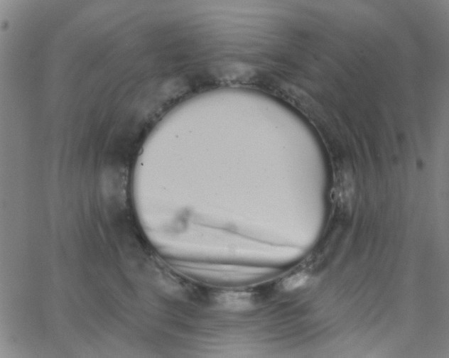 X0000062840664200601272017